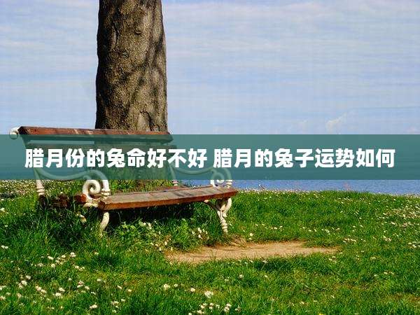 腊月份的兔命好不好 腊月的兔子运势如何