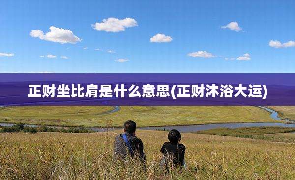 正财坐比肩是什么意思(正财沐浴大运)