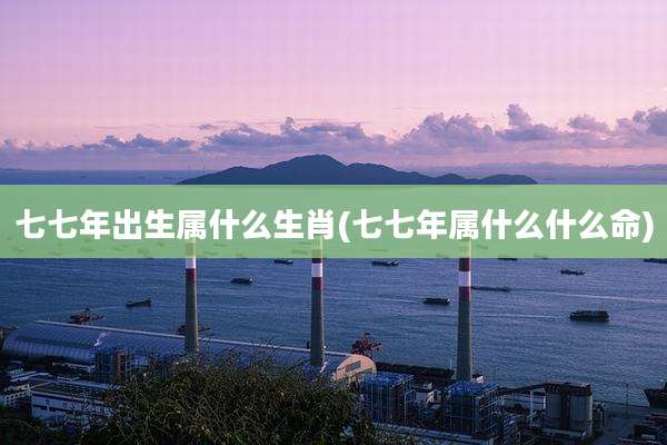 七七年出生属什么生肖(七七年属什么什么命)