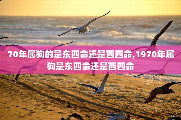 70年属狗的是东四命还是西四命,1970年属狗是东四命还是西四命