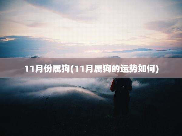 11月份属狗(11月属狗的运势如何)