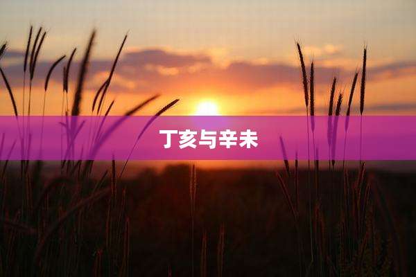丁亥与辛未