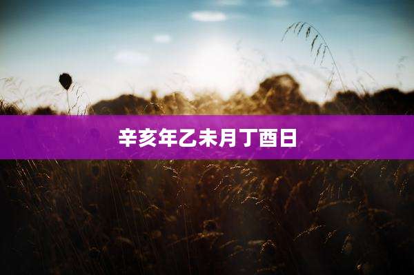 辛亥年乙未月丁酉日