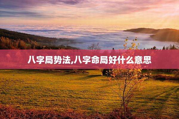 八字局势法,八字命局好什么意思
