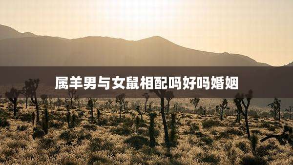 属羊男与女鼠相配吗好吗婚姻