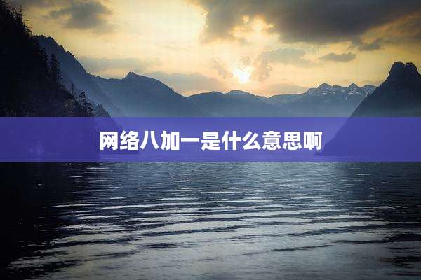 网络八加一是什么意思啊