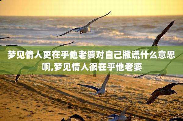 梦见情人更在乎他老婆对自己撒谎什么意思啊,梦见情人很在乎他老婆
