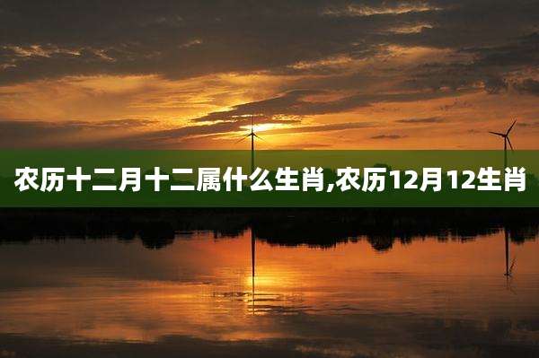 农历十二月十二属什么生肖,农历12月12生肖