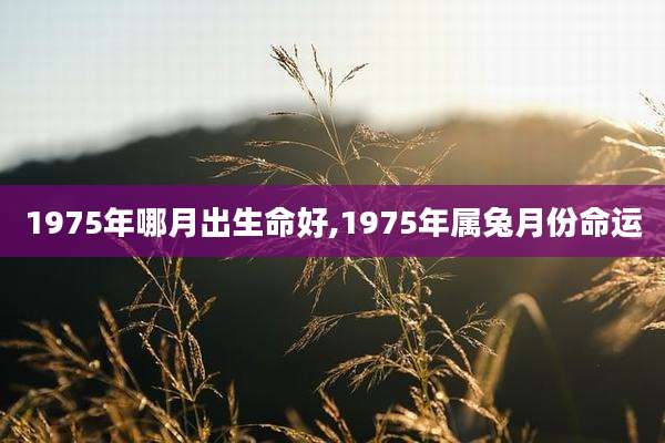 1975年哪月出生命好,1975年属兔月份命运