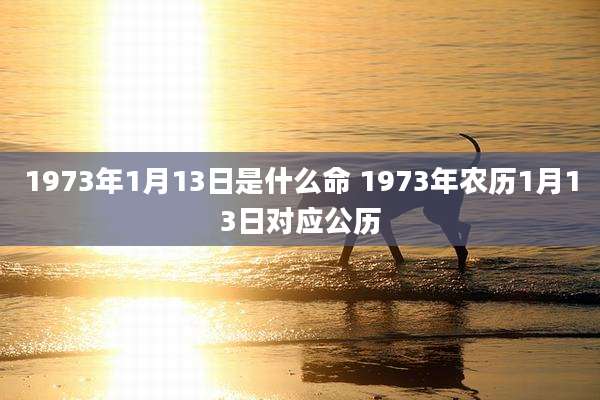 1973年1月13日是什么命 1973年农历1月13日对应公历