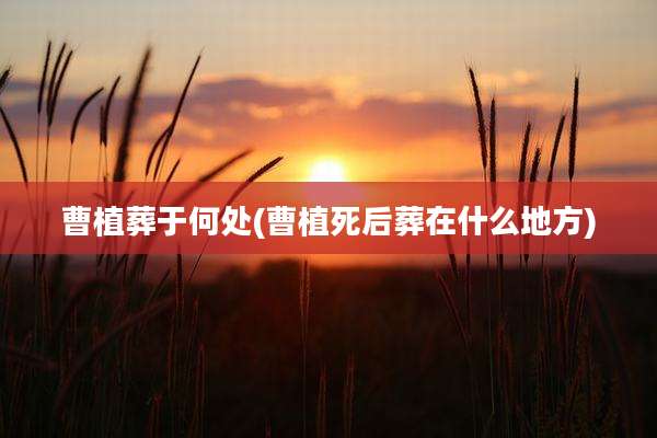 曹植葬于何处(曹植死后葬在什么地方)