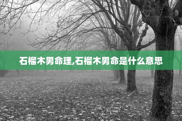 石榴木男命理,石榴木男命是什么意思