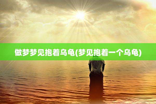 做梦梦见抱着乌龟(梦见抱着一个乌龟)