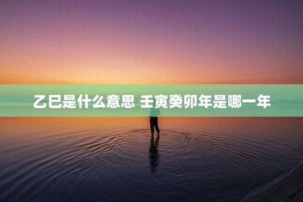 乙巳是什么意思 壬寅癸卯年是哪一年