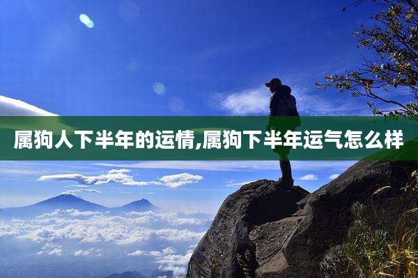 属狗人下半年的运情,属狗下半年运气怎么样