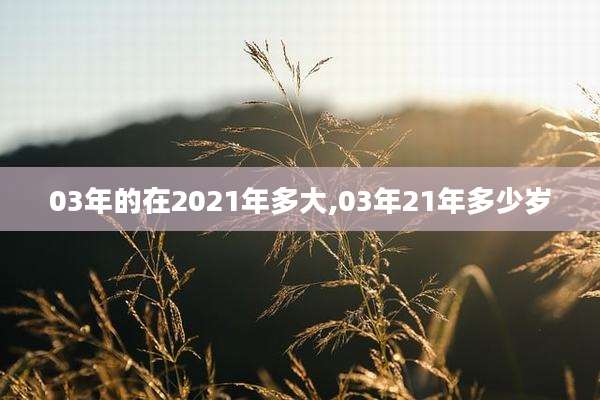 03年的在2021年多大,03年21年多少岁