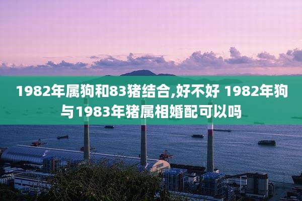 1982年属狗和83猪结合,好不好 1982年狗与1983年猪属相婚配可以吗