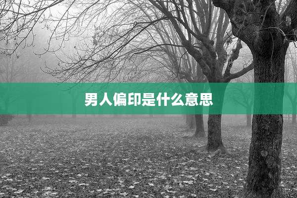 男人偏印是什么意思