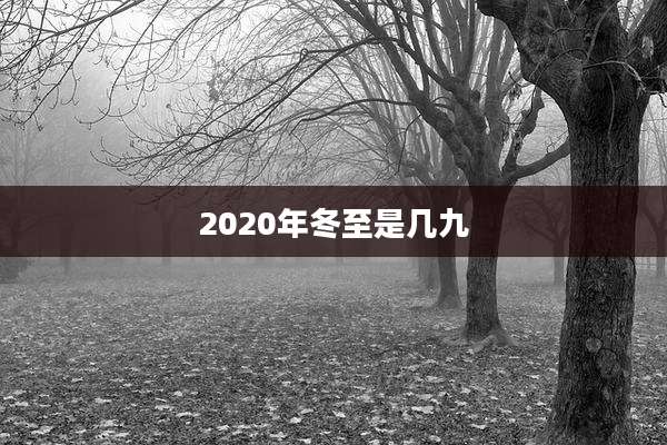 2020年冬至是几九