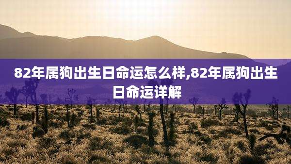 82年属狗出生日命运怎么样,82年属狗出生日命运详解