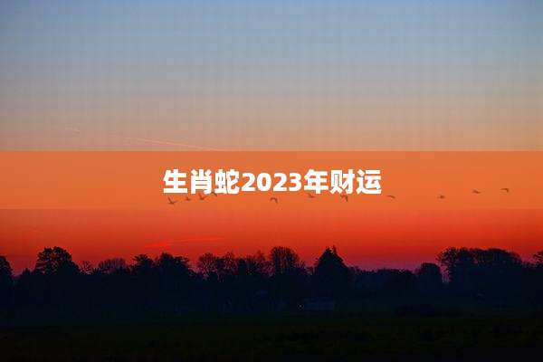 生肖蛇2023年财运