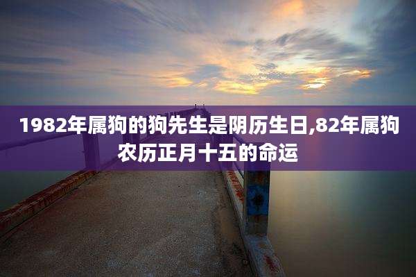 1982年属狗的狗先生是阴历生日,82年属狗农历正月十五的命运