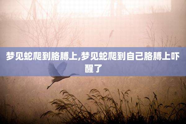梦见蛇爬到胳膊上,梦见蛇爬到自己胳膊上吓醒了