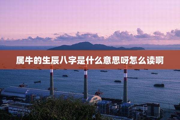 属牛的生辰八字是什么意思呀怎么读啊