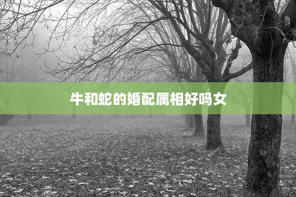 牛和蛇的婚配属相好吗女