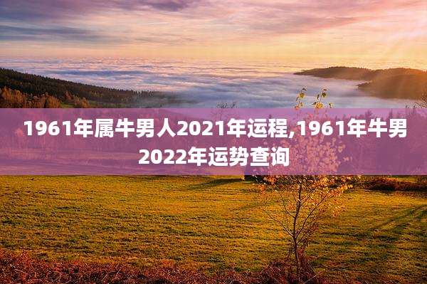 1961年属牛男人2021年运程,1961年牛男2022年运势查询