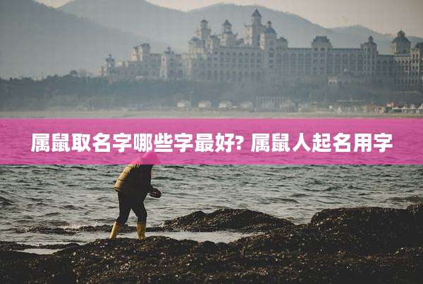 属鼠取名字哪些字最好? 属鼠人起名用字