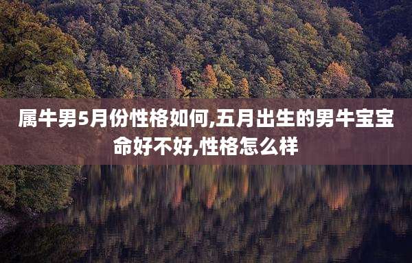 属牛男5月份性格如何,五月出生的男牛宝宝命好不好,性格怎么样