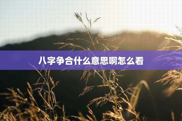 八字争合什么意思啊怎么看