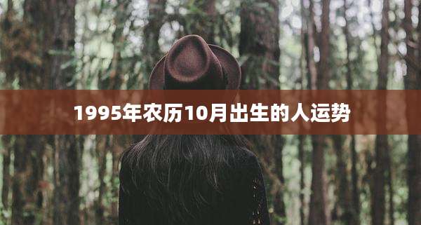 1995年农历10月出生的人运势