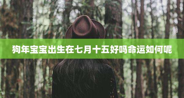狗年宝宝出生在七月十五好吗命运如何呢