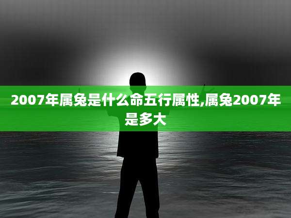 2007年属兔是什么命五行属性,属兔2007年是多大