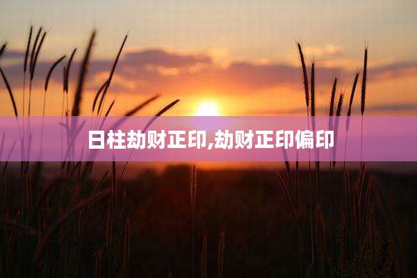 日柱劫财正印,劫财正印偏印