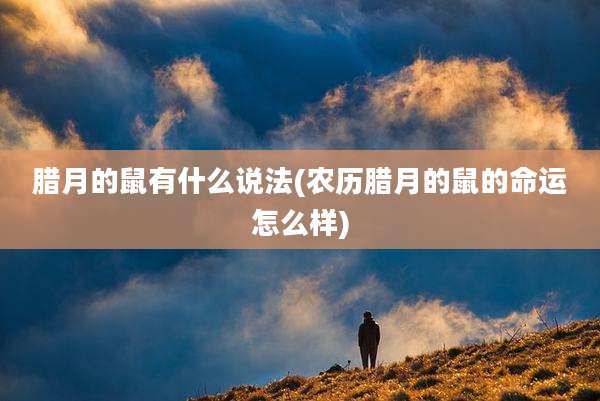 腊月的鼠有什么说法(农历腊月的鼠的命运怎么样)