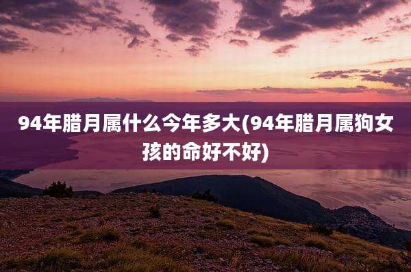 94年腊月属什么今年多大(94年腊月属狗女孩的命好不好)