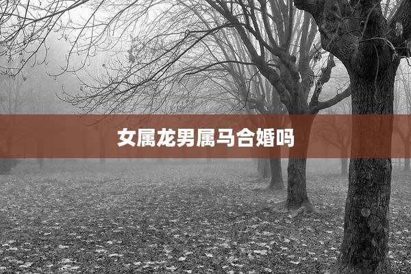 女属龙男属马合婚吗