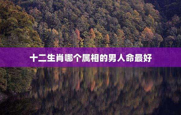 十二生肖哪个属相的男人命最好