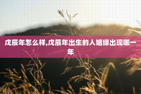 戊辰年怎么样,戊辰年出生的人姻缘出现哪一年