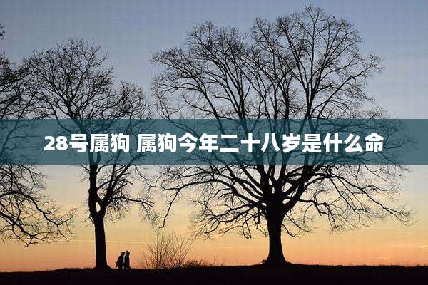 28号属狗 属狗今年二十八岁是什么命