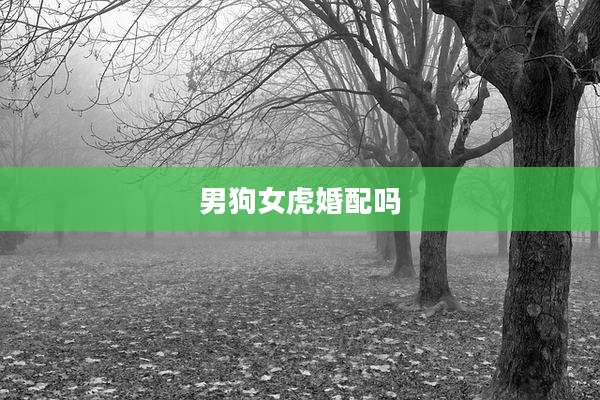 男狗女虎婚配吗