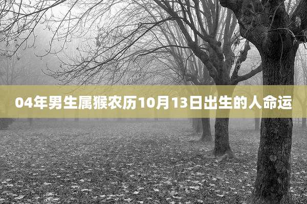 04年男生属猴农历10月13日出生的人命运
