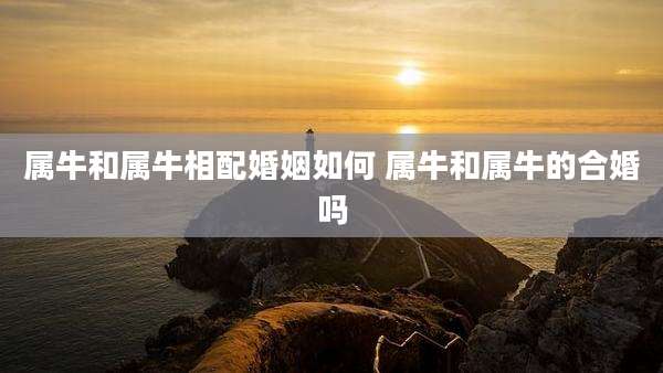 属牛和属牛相配婚姻如何 属牛和属牛的合婚吗
