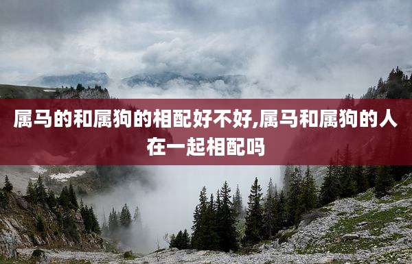 属马的和属狗的相配好不好,属马和属狗的人在一起相配吗