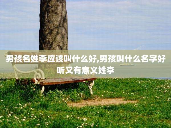 男孩名姓李应该叫什么好,男孩叫什么名字好听又有意义姓李