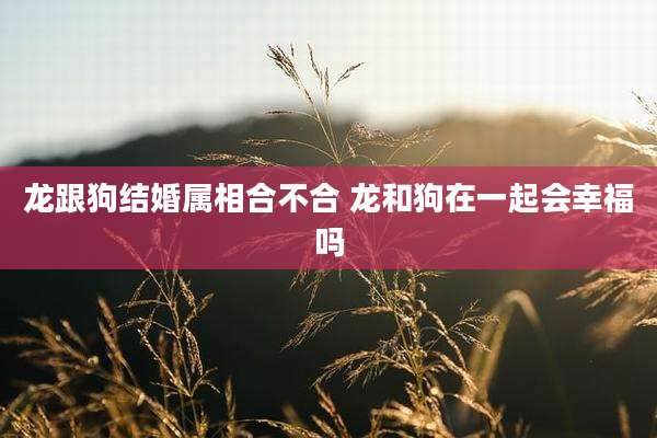 龙跟狗结婚属相合不合 龙和狗在一起会幸福吗