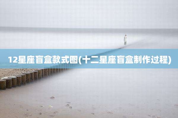 12星座盲盒款式图(十二星座盲盒制作过程)